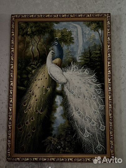 Павлин картина