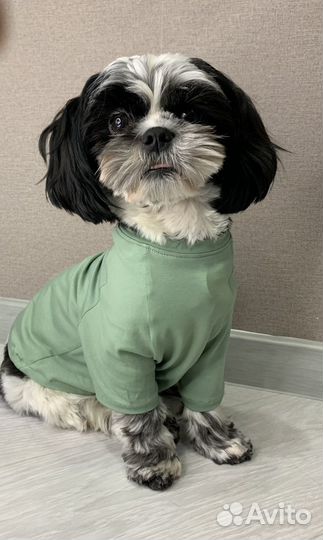 Одежда для собак футболка