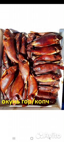 Речная рыба горячего копчения оптом и в розницу