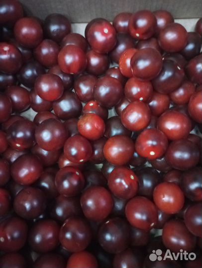 Помидоры и фрукты оптом и в розницу