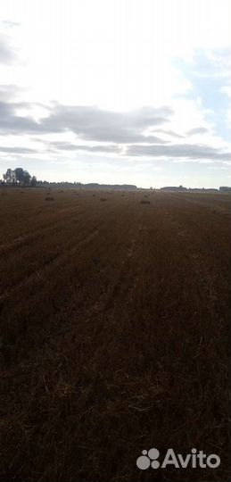 Солома в тюках