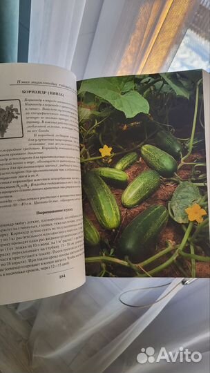 Энциклопедия садовода и огородника. О. Ганичкина