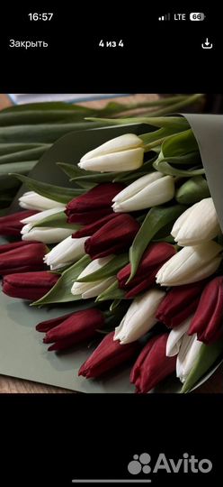 Тюльпаны букет 51шт 101шт
