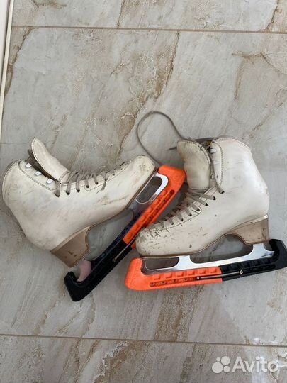 Фигурные коньки edea chorus 240