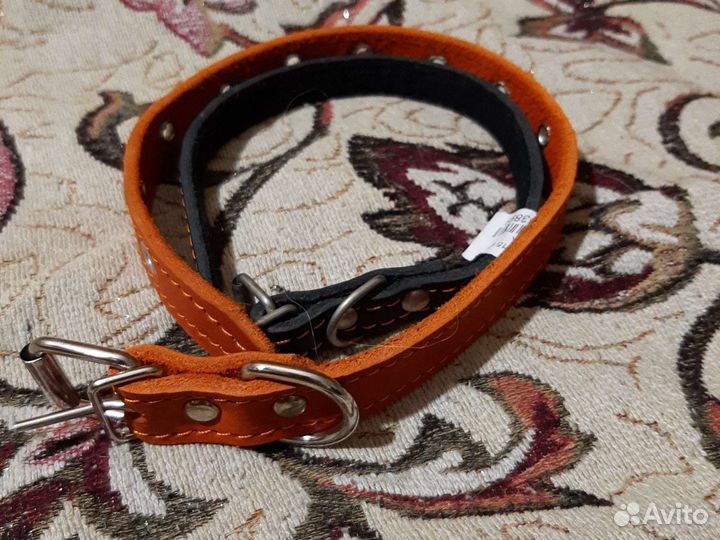 Ошейники для собак