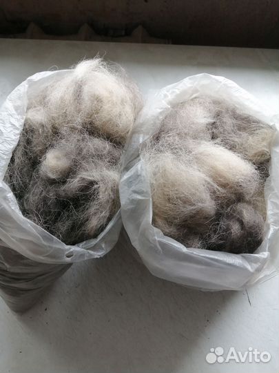 Собачья шерсть пух