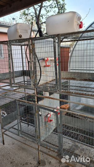 Большая клетка для птиц