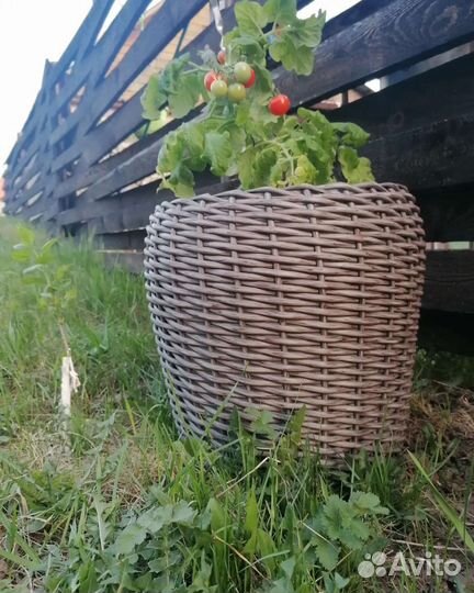 Кашпо для цветов