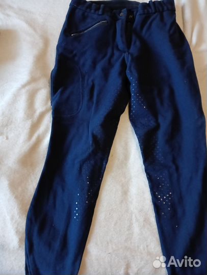 Бриджи для конного спорта