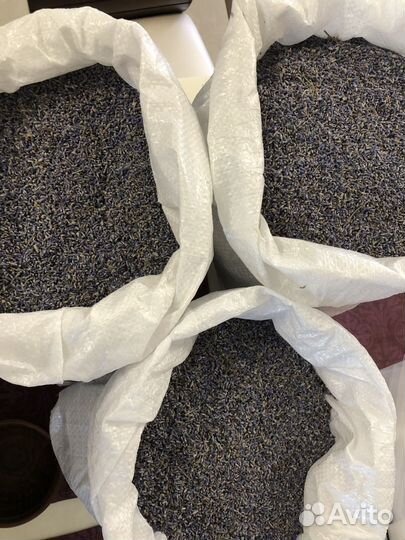 Лаванда сушеная, россыпью урожай 2024 бронь от 5кг