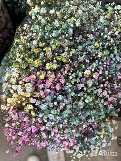 Гипсофила радужная Букет