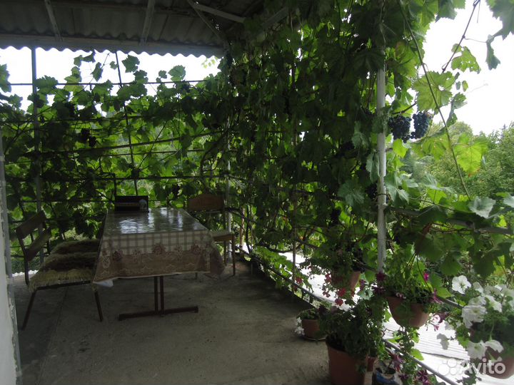 Отдых Абхазия Шицквара.Эшера Сухумский район