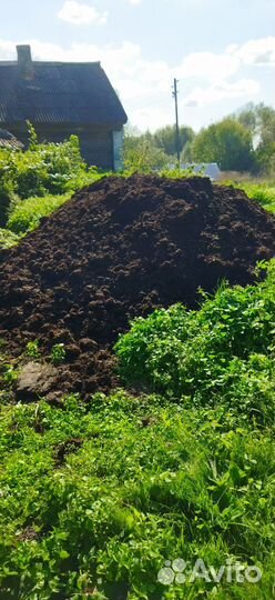 Кампост из под шампиньонов. Перегной коровий