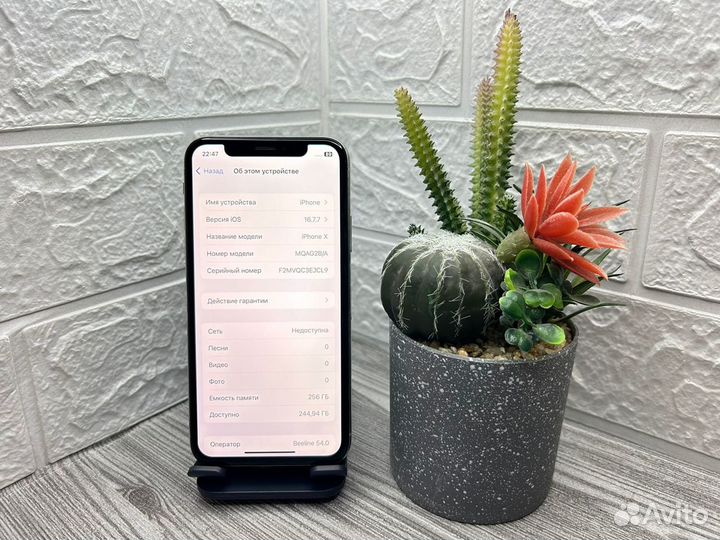 iPhone X, 256 ГБ