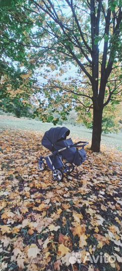 Коляска адамекс шанталь 2в1