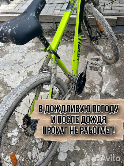 Прокат велосипедов велопрокат Геленджик