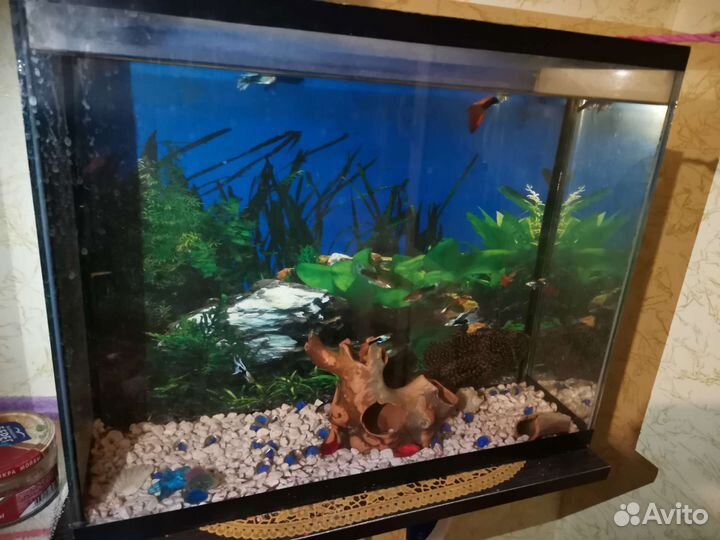 Аквариум с рыбками 30л