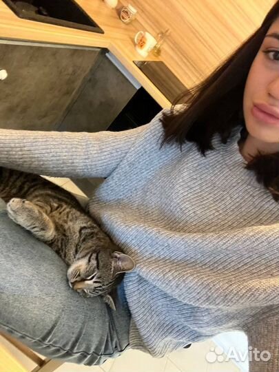 Догситтер, зооняня, передержка