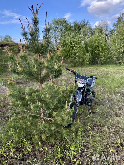 Питбайк BSE 125ex