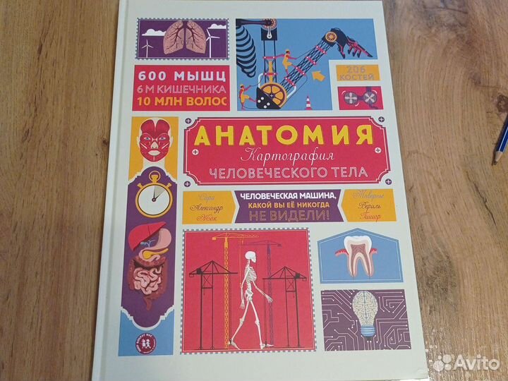 Книга атлас Анатомия человеческого тела