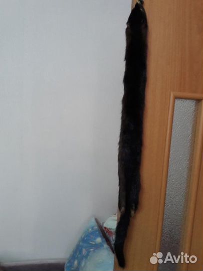 Шкура песца