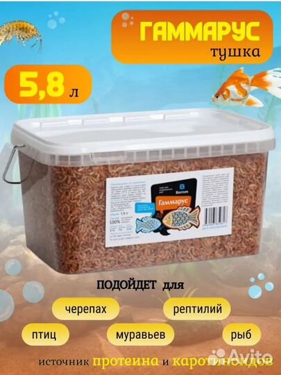 Гаммарус корм для рыб и черепах