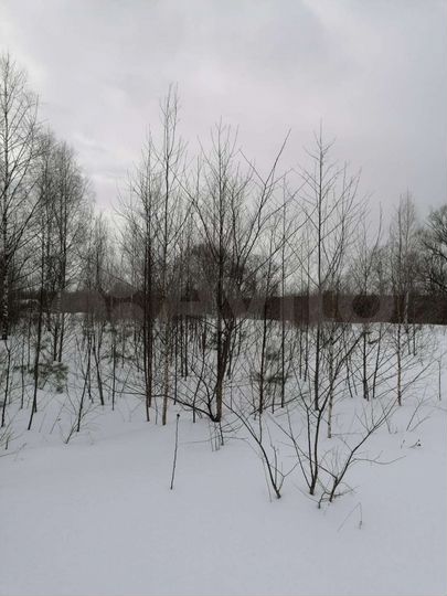 Участок 10 сот. (СНТ, ДНП)