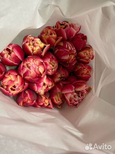 Тюльпаны к 8 марта