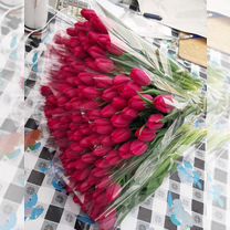 Тюльпаны к 8 марта