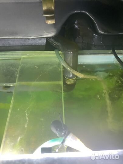 Внешний филтр Тетра ех700 tetra EX 700