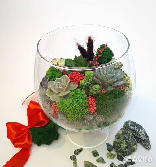 Флорариум Подарок Цветы