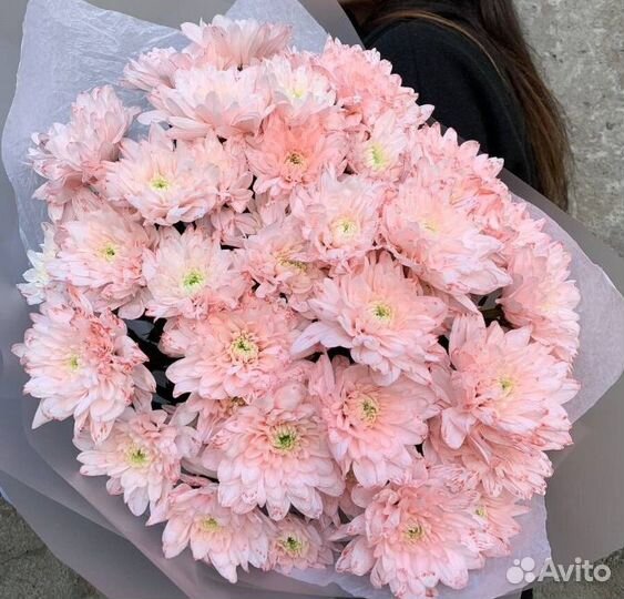 Букеты хризантема кустовая доставка