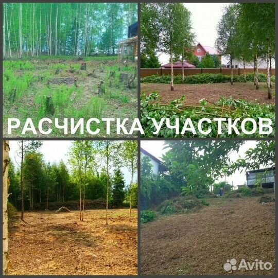 Спил и удаление деревьев