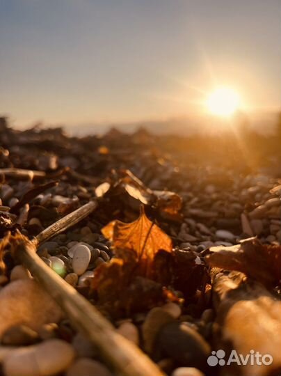 Декор Звезда