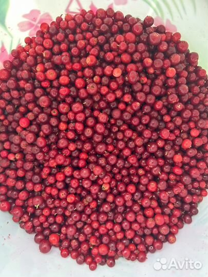 Брусника ягода