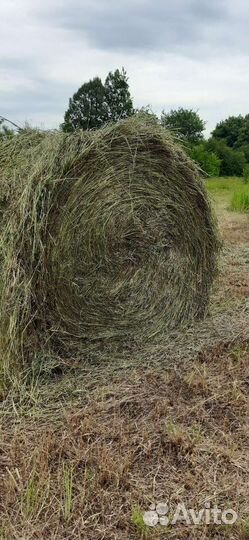 Услуги пресс подборщика