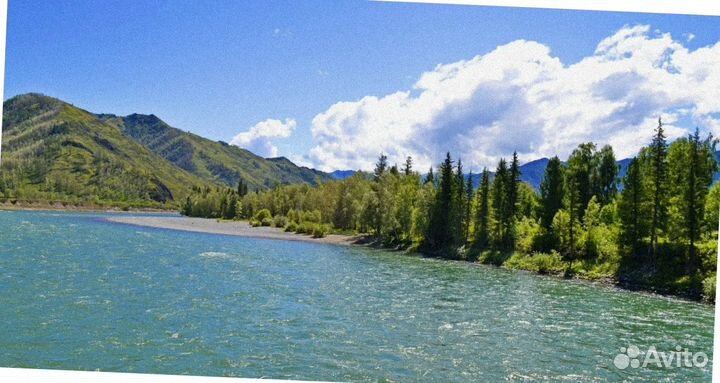 Алтай летний тур экспедиция 4-7 дней