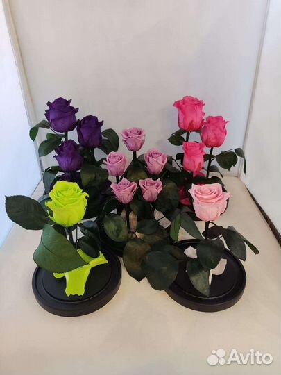 Роза в колбе оптом