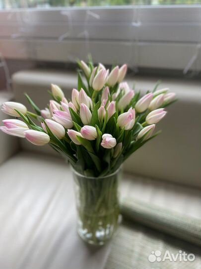 Букет из тюльпанов