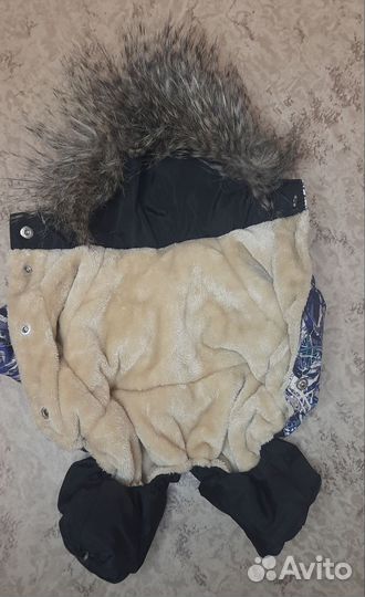 Комбинезон для маленькой собаки