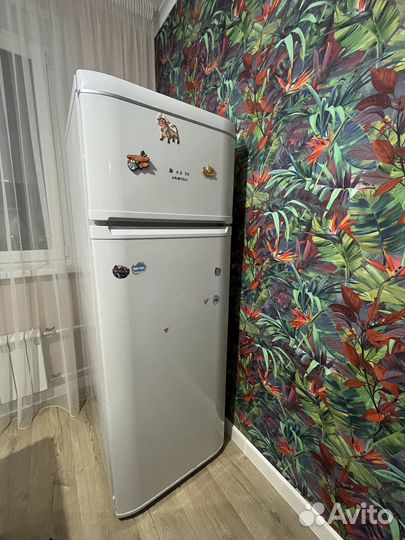 Холодильник hotpoint ariston бу