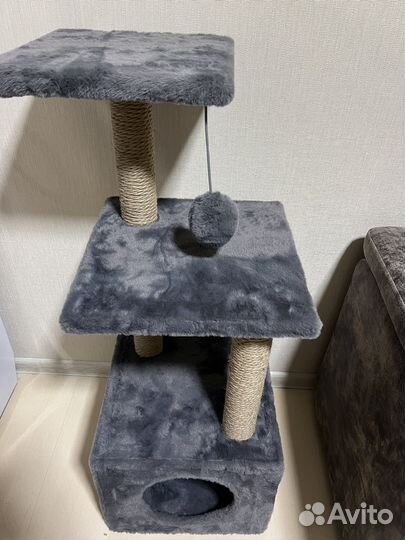 Когтеточка, лоток, переноска, миски. Набор котика