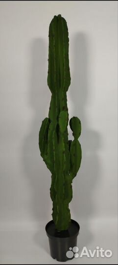 Искусственный кактус