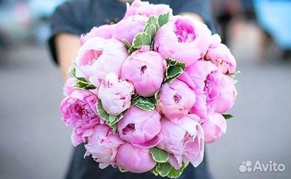 Пионы Розы Доставка