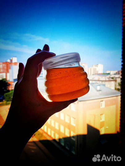 Мед разнотравье 2024