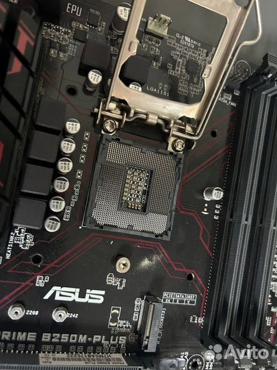 Материнская плата asus prime B250M-plus LGA1151