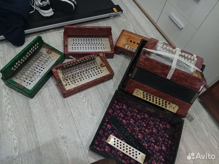 Гармонь чайка 2