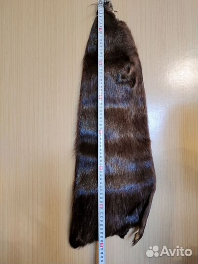 Шкурки нутрии