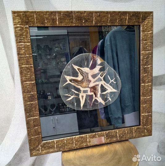 Септария. Драконий камень.Уникальный образец панно