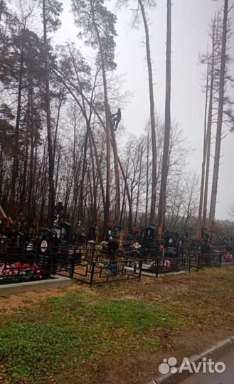 Спил деревьев,снос домов,расчистка участков